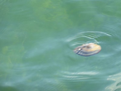 truth news ブログ写真 2014/08/01