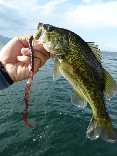 truth news ブログ写真 2014/08/01