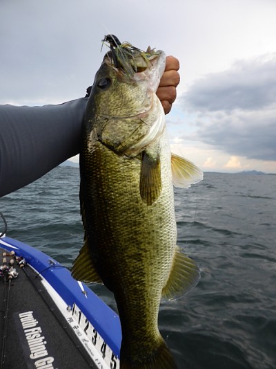 truth news ブログ写真 2014/08/01