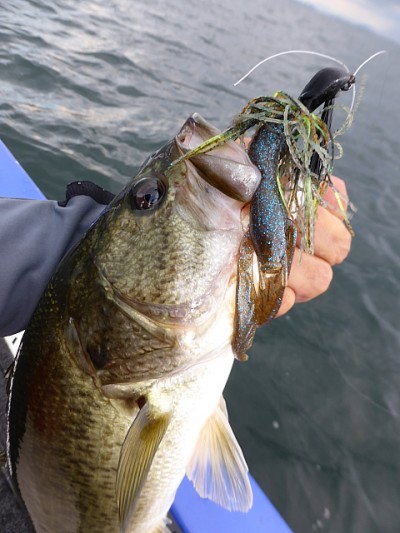 truth news ブログ写真 2014/08/01