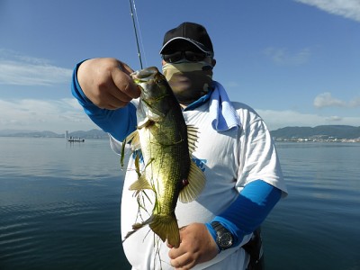 truth news ブログ写真 2014/08/01