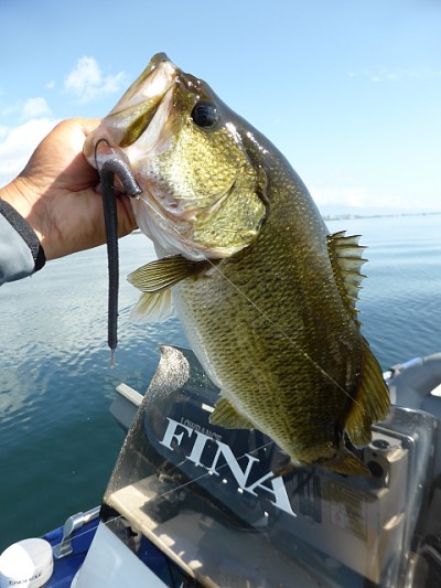 truth news ブログ写真 2014/08/01