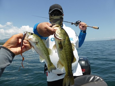 truth news ブログ写真 2014/08/01