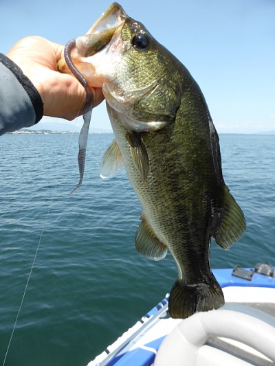 truth news ブログ写真 2014/08/01