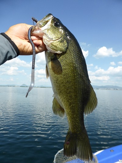 truth news ブログ写真 2014/08/01