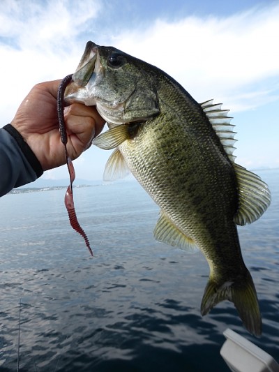 truth news ブログ写真 2014/08/01