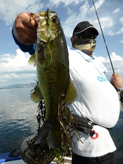 truth news ブログ写真 2014/08/01