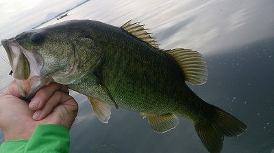 truth news ブログ写真 2014/08/02