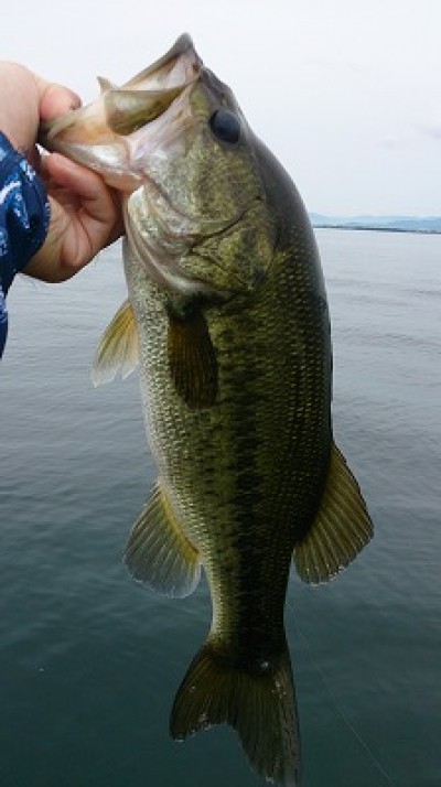 truth news ブログ写真 2014/08/02