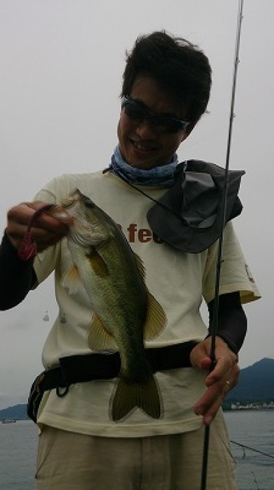 truth news ブログ写真 2014/08/02