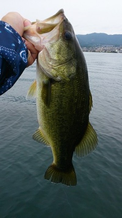 truth news ブログ写真 2014/08/02