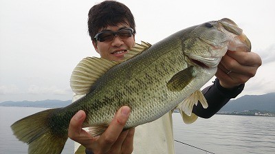 truth news ブログ写真 2014/08/02