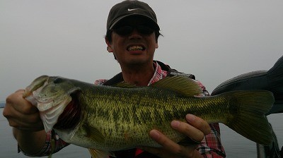 truth news ブログ写真 2014/08/02