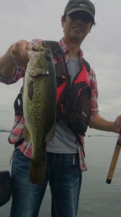 truth news ブログ写真 2014/08/02