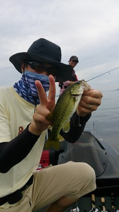 truth news ブログ写真 2014/08/02