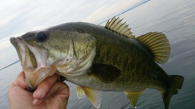 truth news ブログ写真 2014/08/02