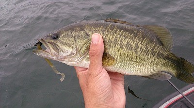 truth news ブログ写真 2014/08/02