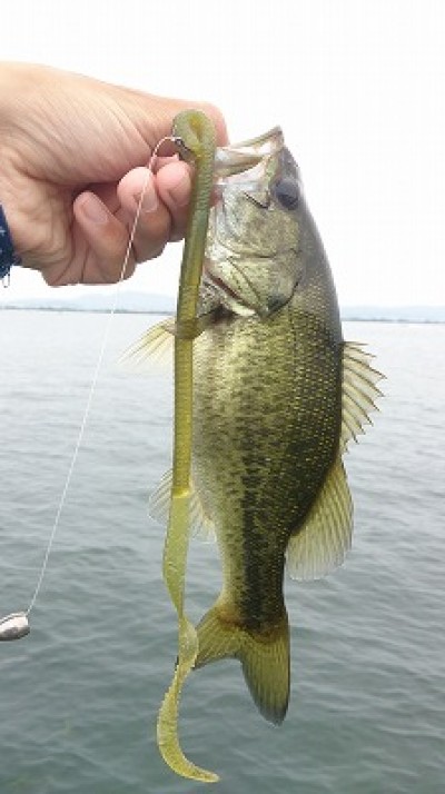 truth news ブログ写真 2014/08/02