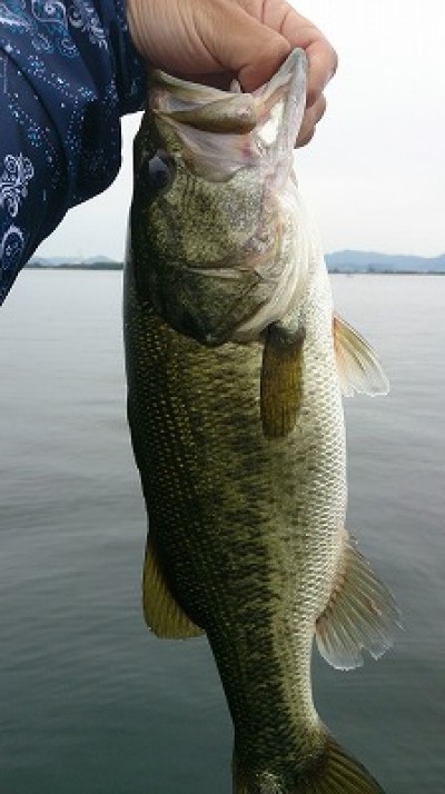 truth news ブログ写真 2014/08/02