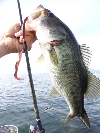 truth news ブログ写真 2014/08/02