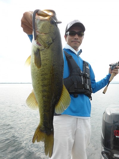 truth news ブログ写真 2014/08/02