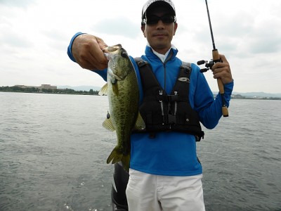 truth news ブログ写真 2014/08/02