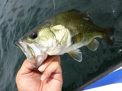 truth news ブログ写真 2014/08/02