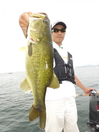 truth news ブログ写真 2014/08/02