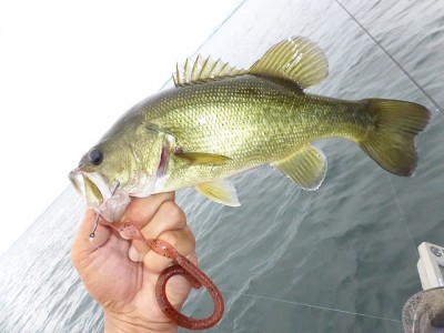 truth news ブログ写真 2014/08/02