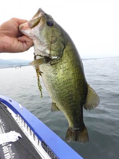 truth news ブログ写真 2014/08/02