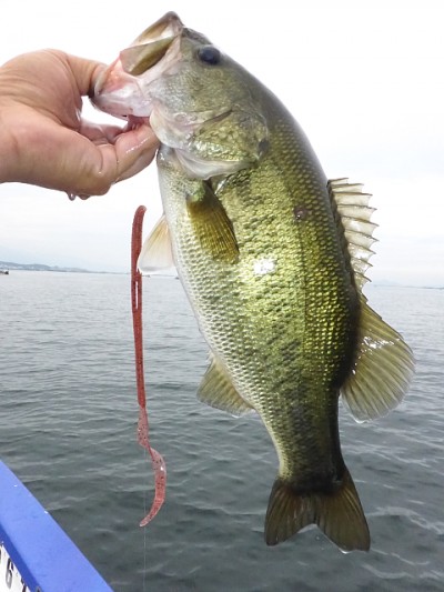 truth news ブログ写真 2014/08/02