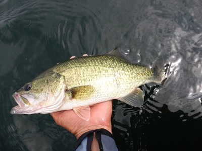 truth news ブログ写真 2014/08/02