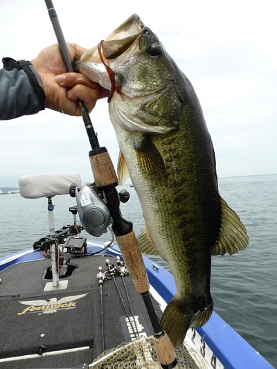 truth news ブログ写真 2014/08/02