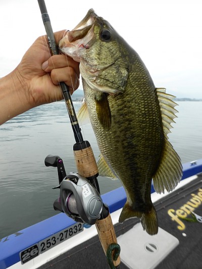 truth news ブログ写真 2014/08/02