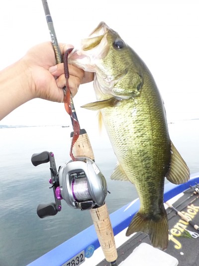 truth news ブログ写真 2014/08/02