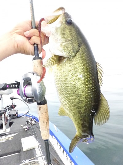 truth news ブログ写真 2014/08/02