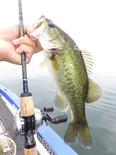 truth news ブログ写真 2014/08/02