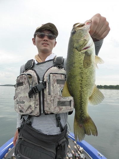 truth news ブログ写真 2014/08/03