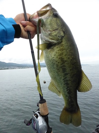 truth news ブログ写真 2014/08/03