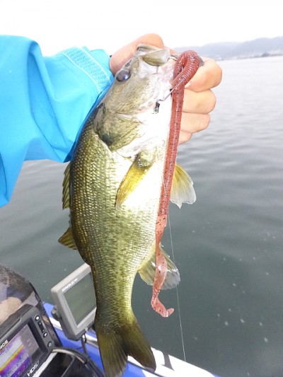 truth news ブログ写真 2014/08/03