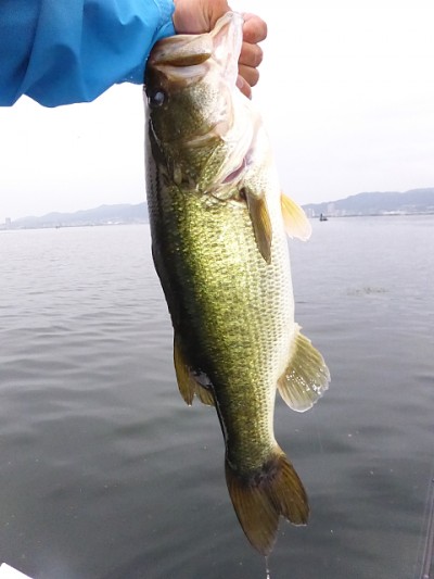 truth news ブログ写真 2014/08/03