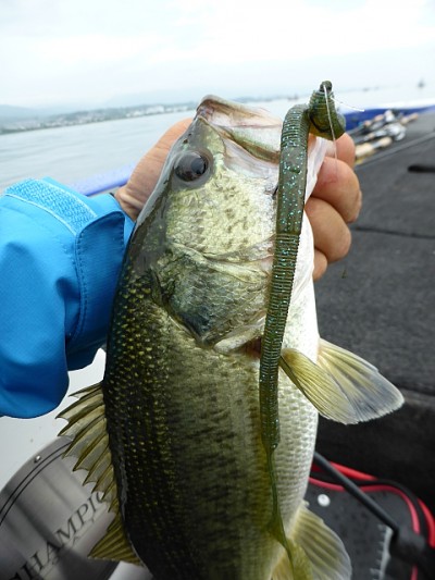 truth news ブログ写真 2014/08/03