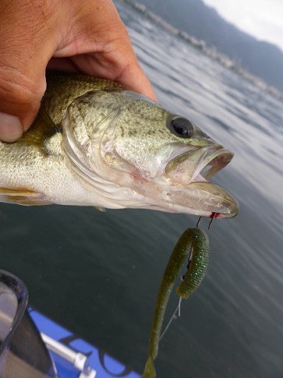 truth news ブログ写真 2014/08/03