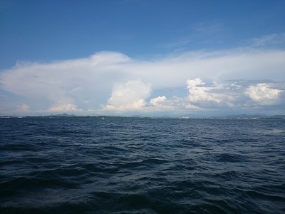 truth news ブログ写真 2014/08/07