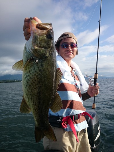 truth news ブログ写真 2014/08/07