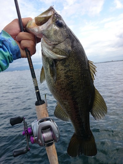 truth news ブログ写真 2014/08/07