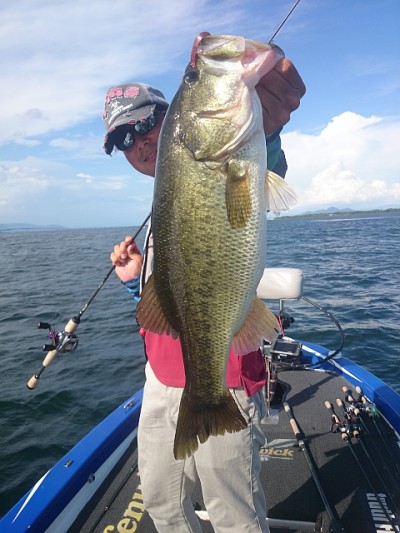 truth news ブログ写真 2014/08/07