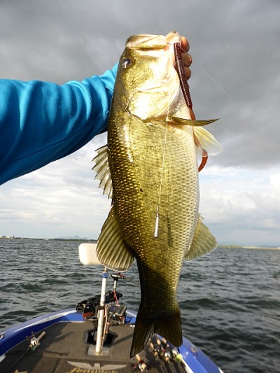 truth news ブログ写真 2014/08/08