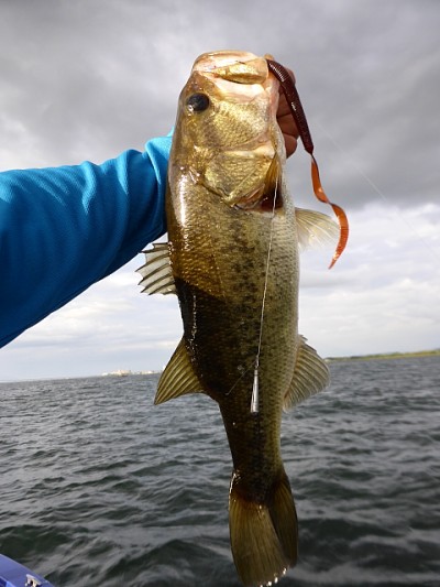 truth news ブログ写真 2014/08/08