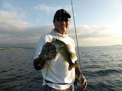 truth news ブログ写真 2014/08/08